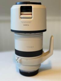 Canon RF 100-500mm f/4.5-7.1 L IS Lens