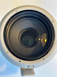Canon RF 100-500mm f/4.5-7.1 L IS Lens