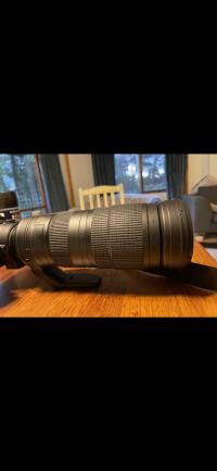 Nikon (Nikkor lens) 200-500mm f/5.6