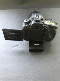 Canon EOS 90D and Canon ERS 18-135mm Lens