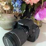 Canon EOS 700D with EFS 18-55mm lens