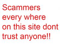 Canon 70 - 200mm lens